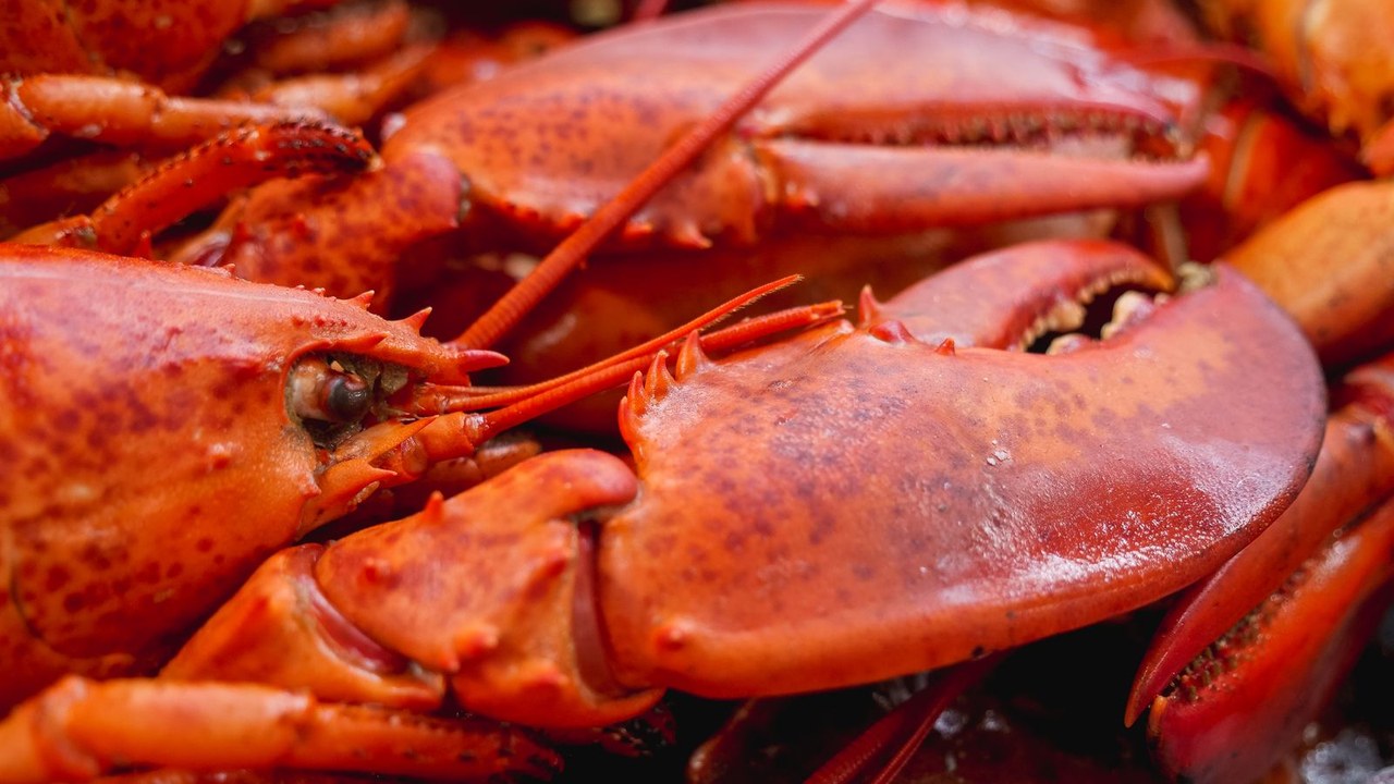 7 Latest Food Recalls From FDA cover